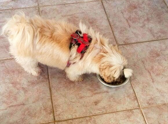 Jully