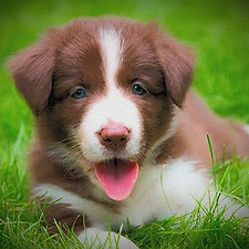 fotolia_86699636_edited_edited.jpg