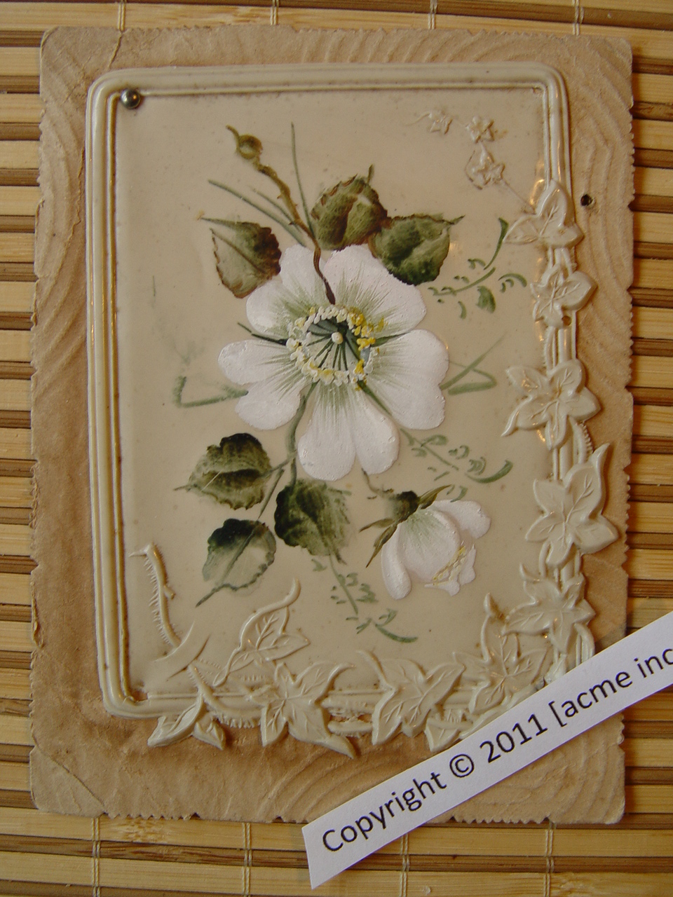 http://www.acme-inc.co.uk/greetingscards/DSC05458.jpg