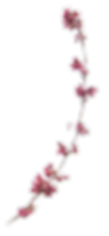 floral_03.png
