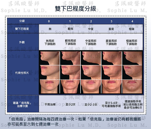 Belkyra倍克脂雙下巴程度分級.jpg