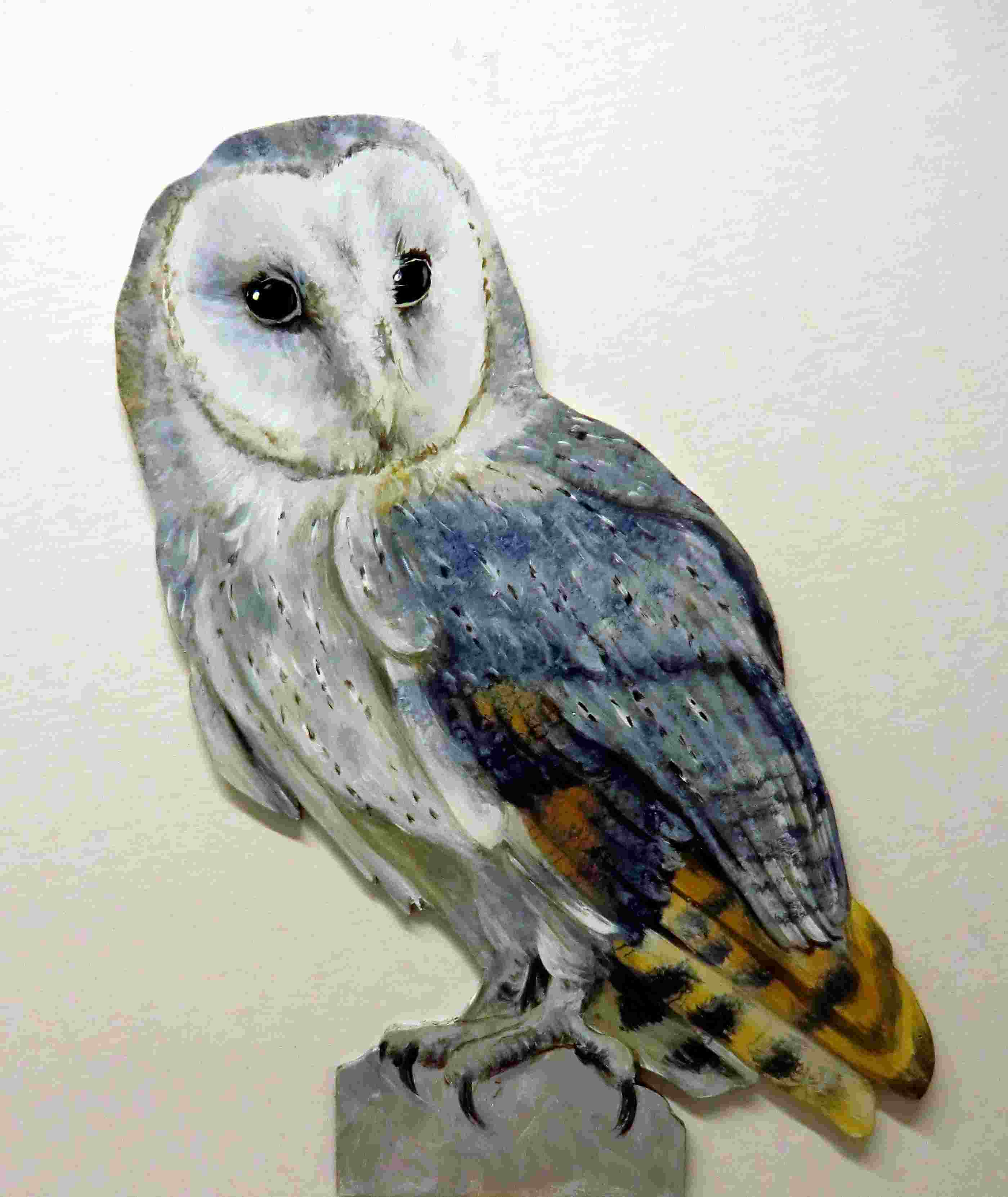 Schleiereule-063b-Dekovogel