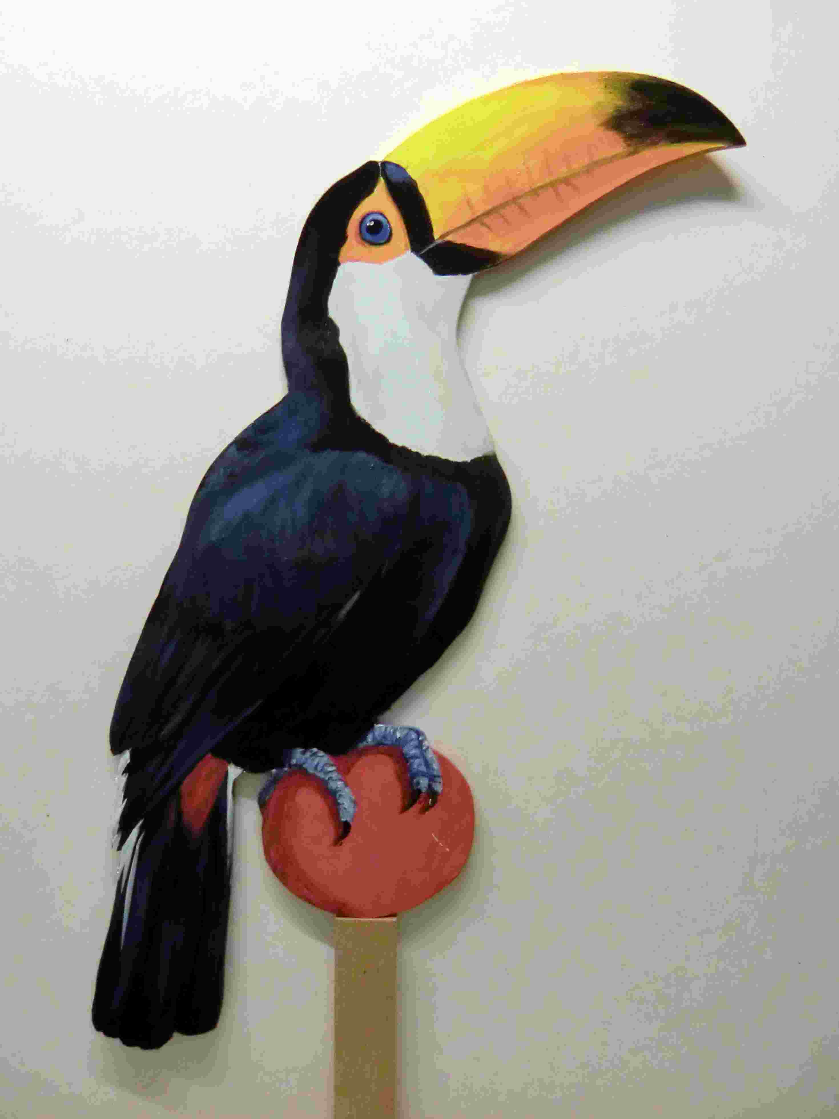 Toco Tukan 275a-Dekovogel