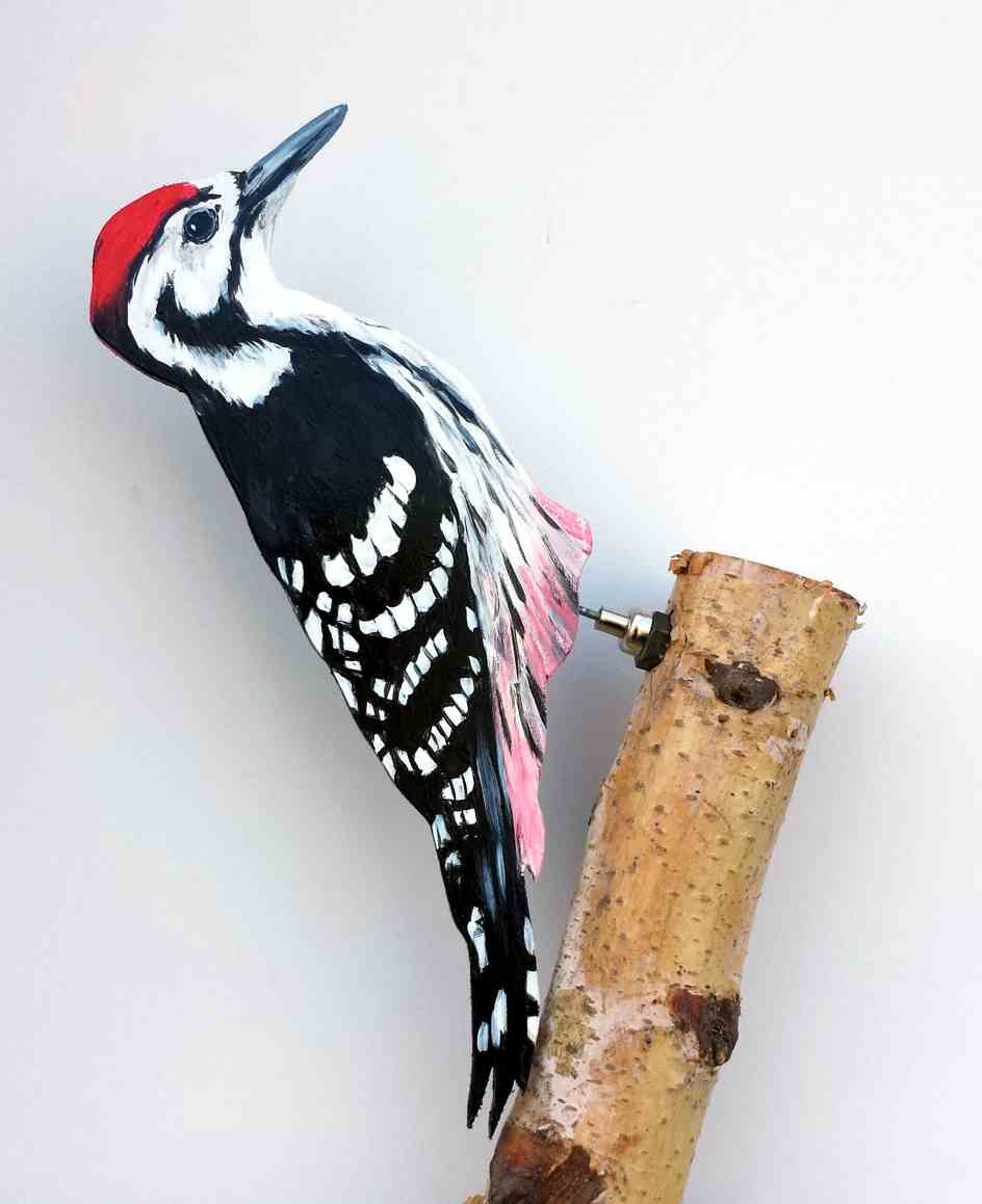 Weissrückenspecht-053-d-Dekovogel-053-d