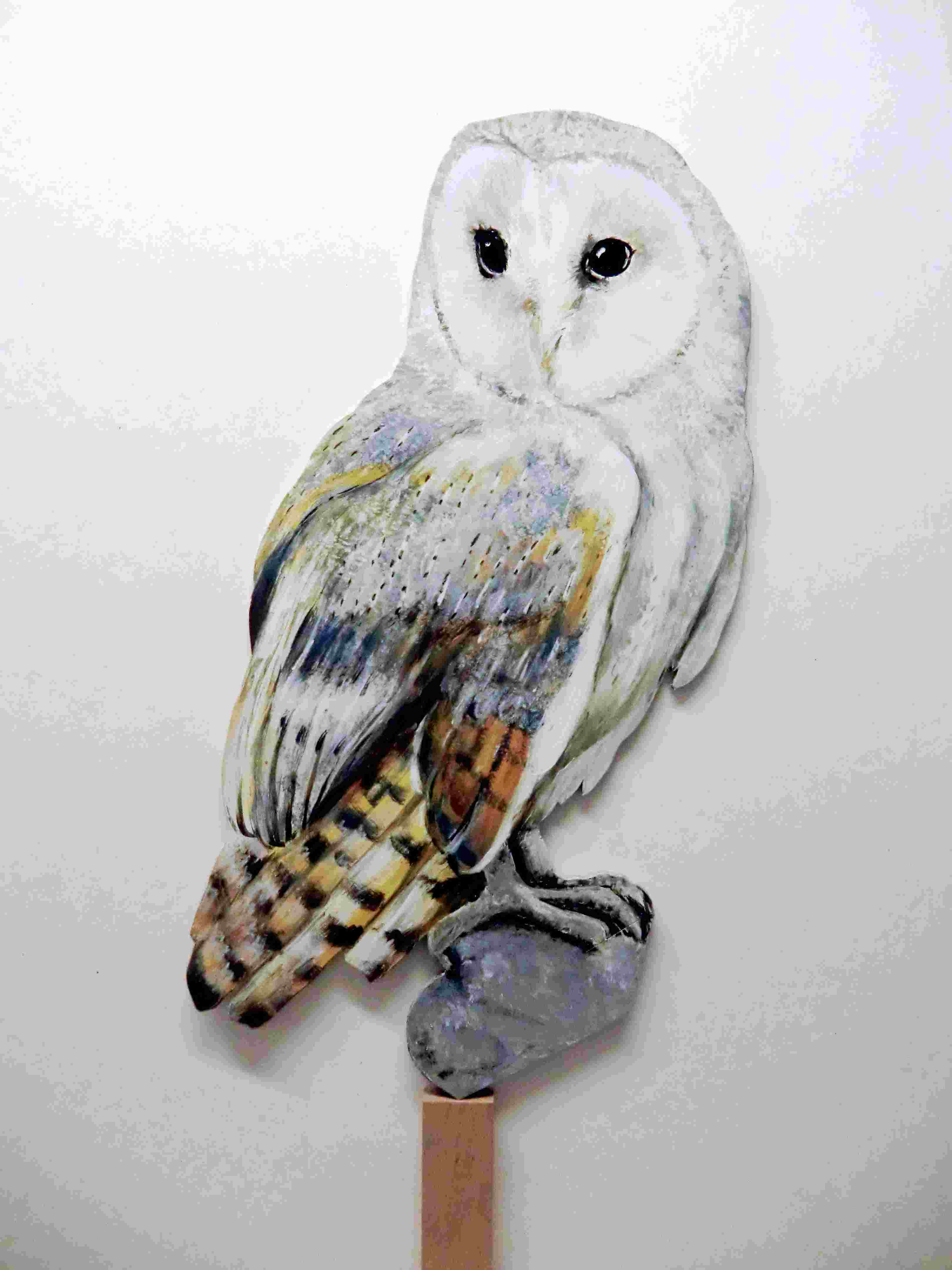 Schleiereule-063a-Dekoovogel