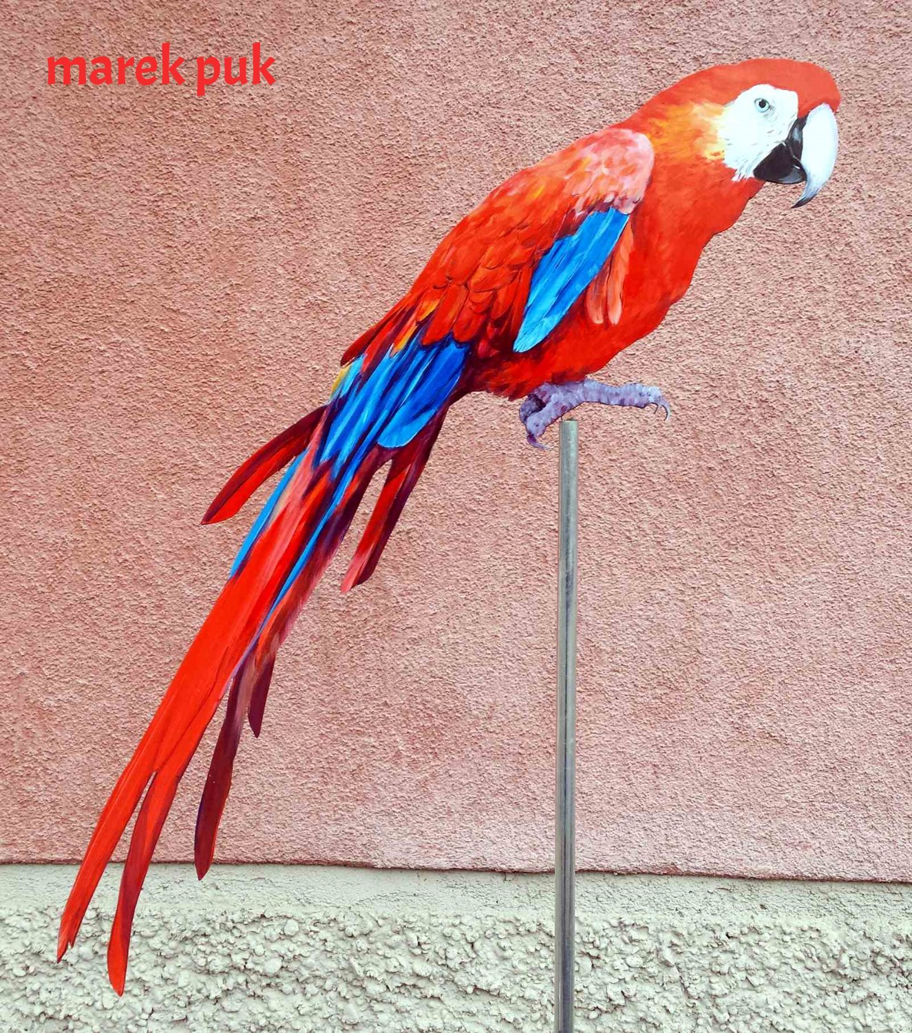 Wetterfahne-ara-rot-blau-003