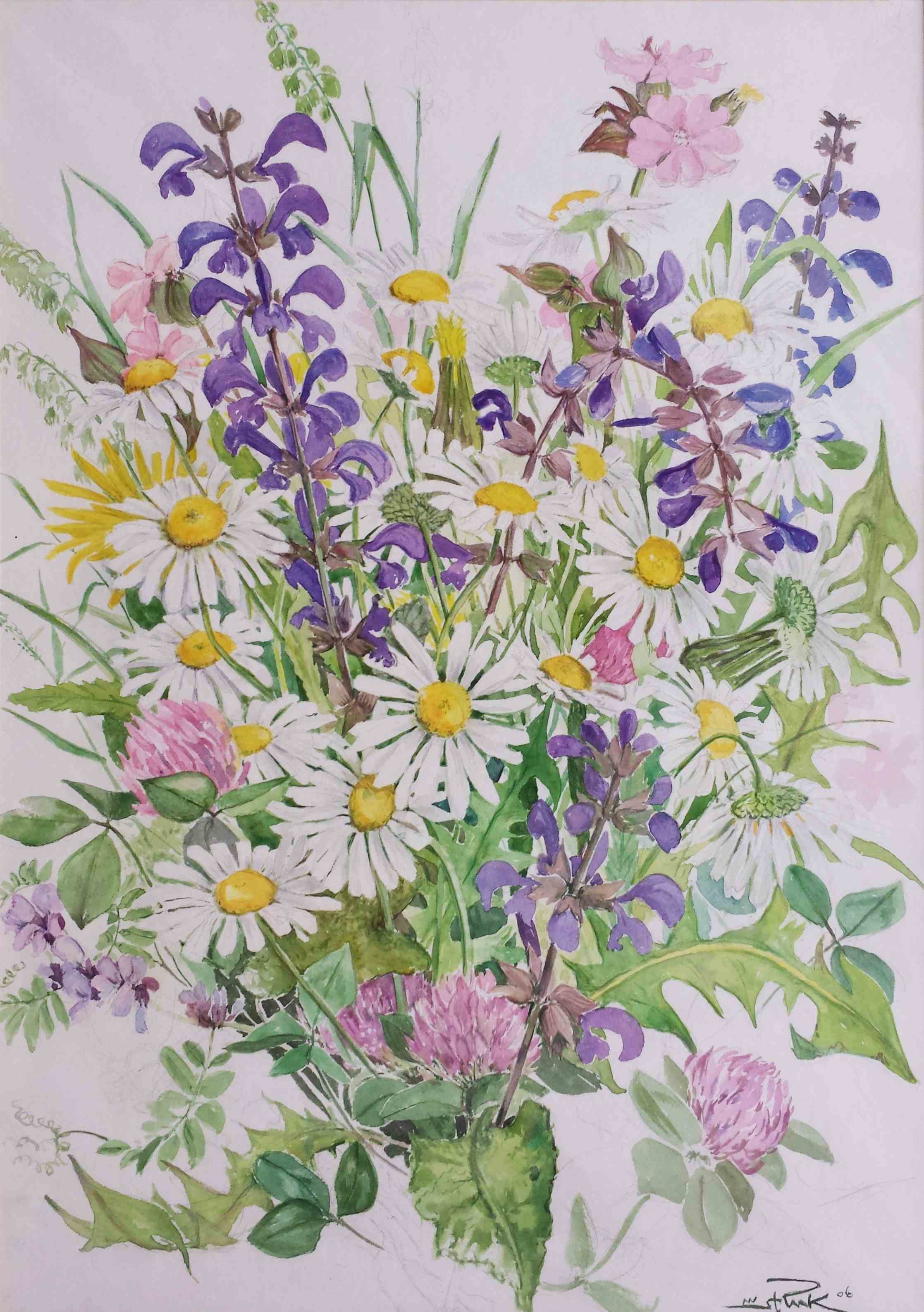 Wiesenblumen mit Salbei Margeriten