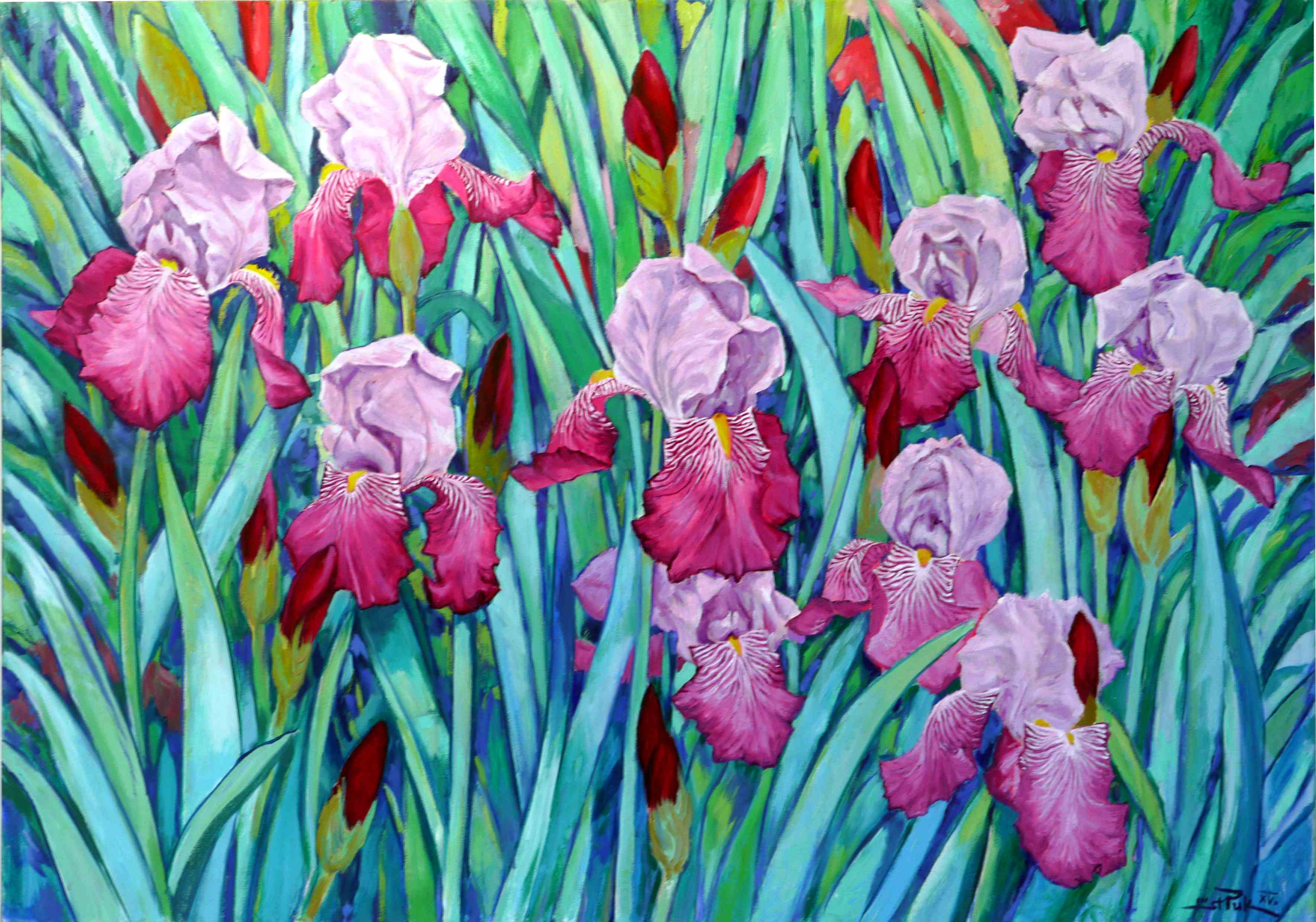 Iriskomposition, zweifarbige Iris, Öl/Le