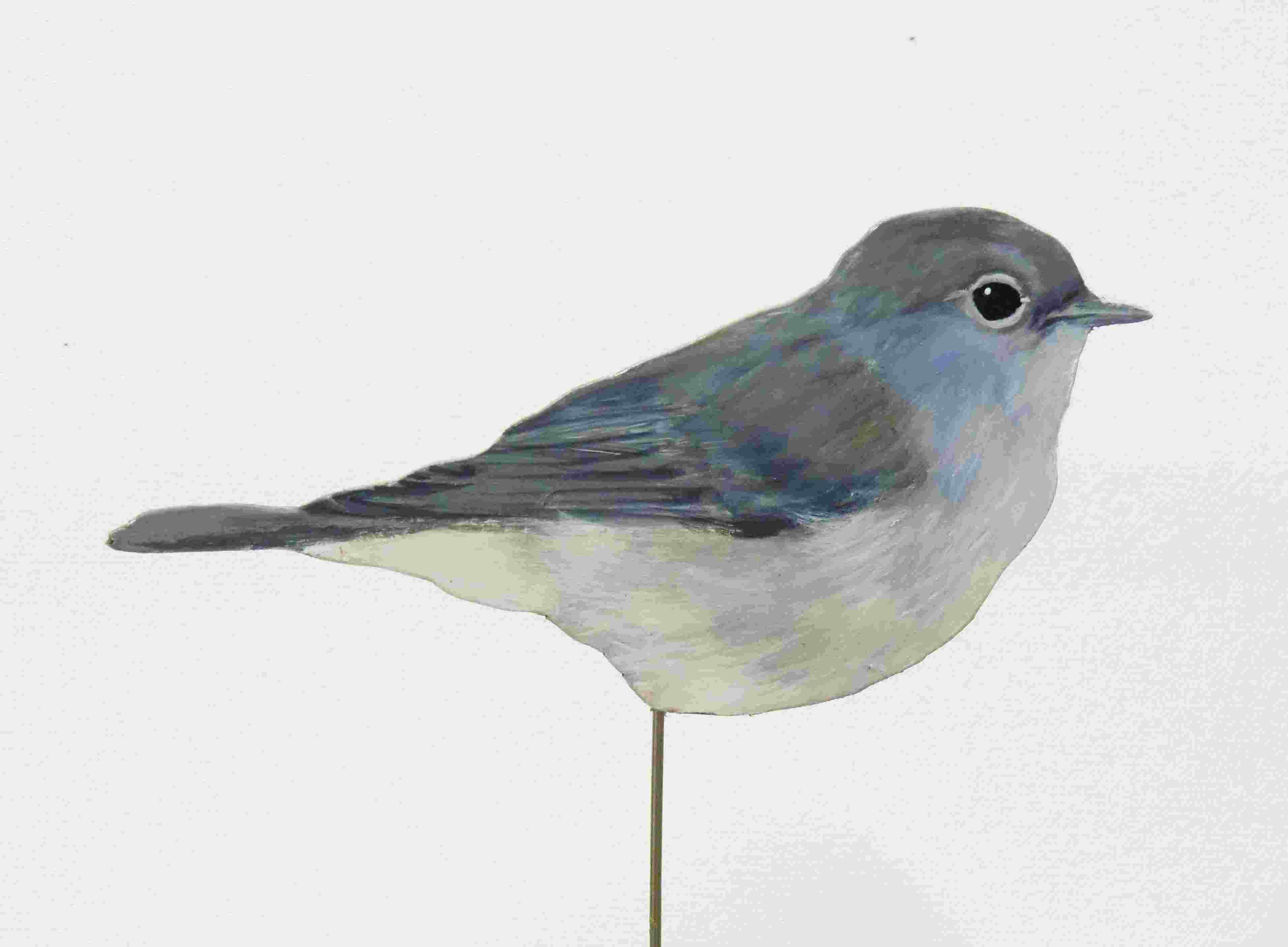 Gartengrasmücke 074a-Dekovogel