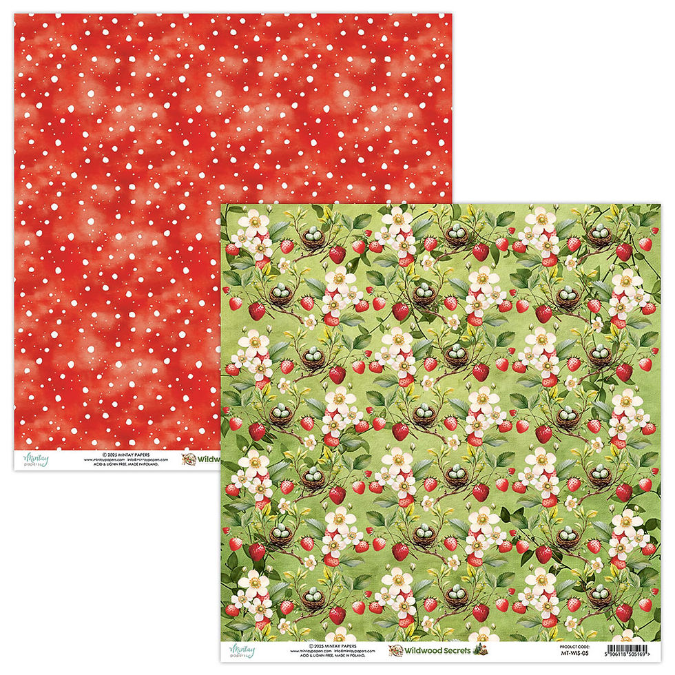 Miniature : Pack Complet -- Mintay "Wildwood Secrets" (3 Blocs)