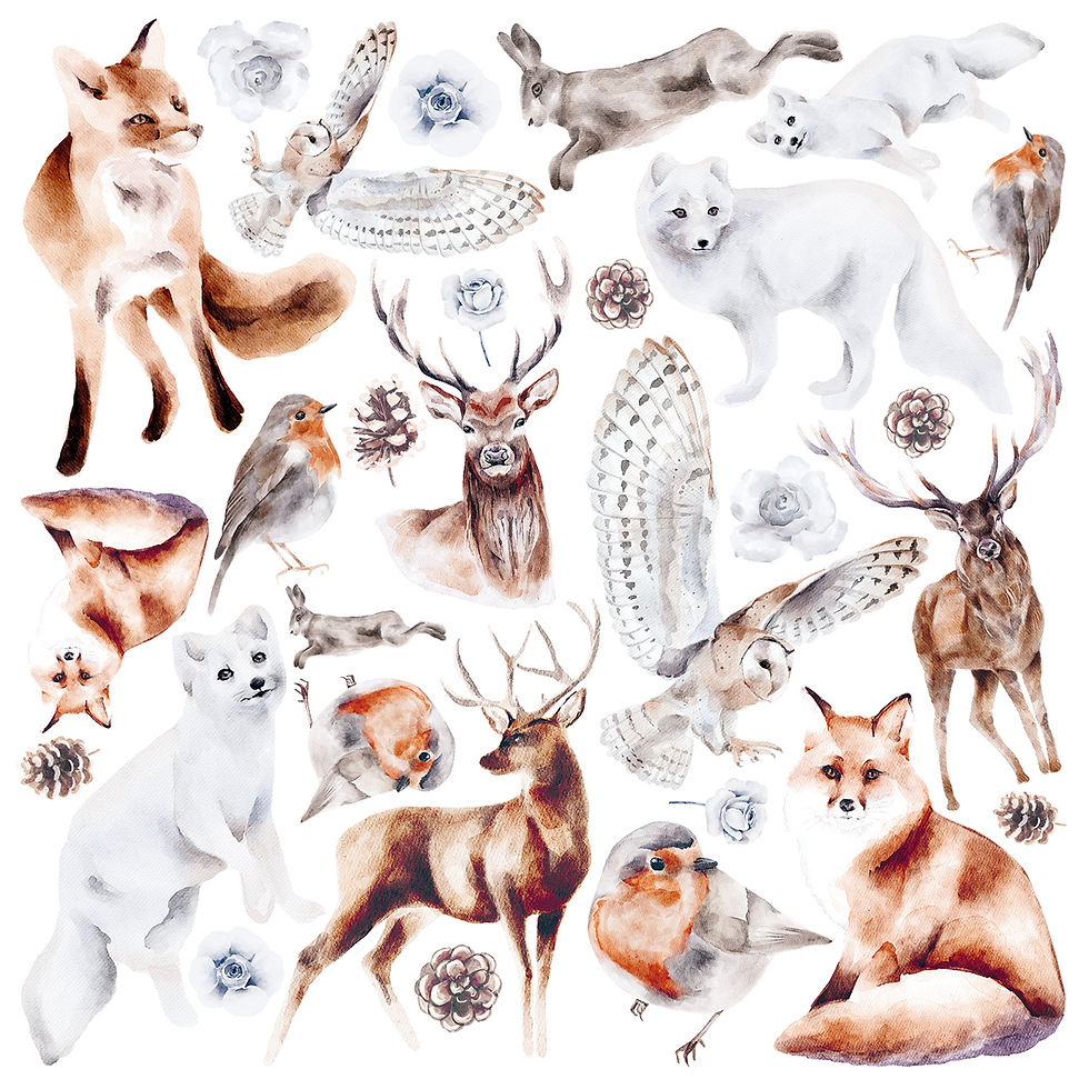 Miniature : Lot de 6 Papiers Vellum, "Winter Journey"-- Format 6x6 (15x15cm) -- Ciao Bella