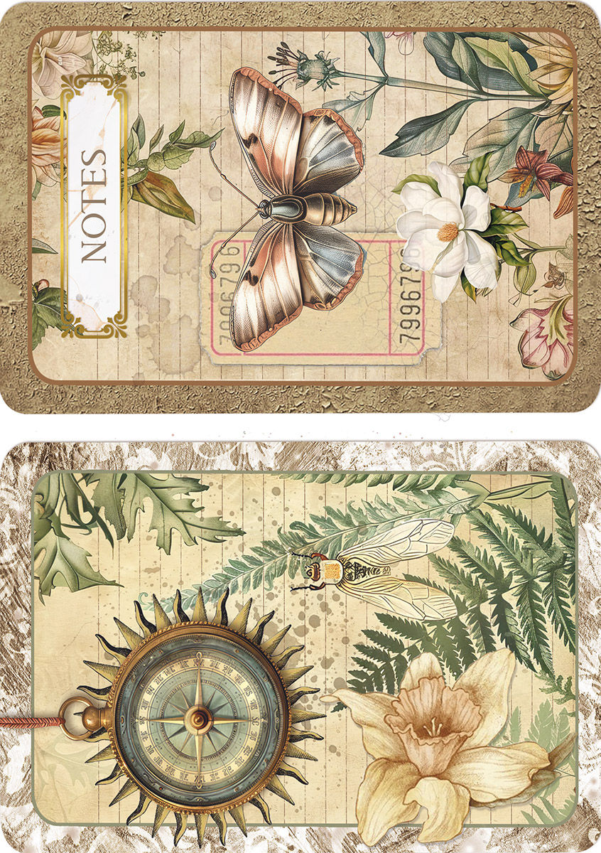 Miniature : Lot de 8 Papiers de Riz "Cabinet of Curiosities" -- Format A5 -- Ciao Bella