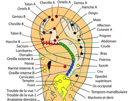 Découvrez la réflexologie auriculaire par laser Chez Aurithérapie
