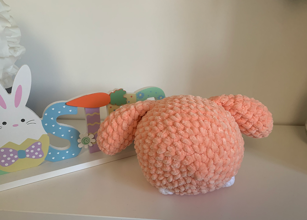 Miniature : Peluche Amigurumi Cinnamoroll -- Collection Capuche Fruitée -- Style Art Toy