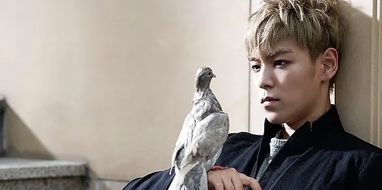 把少女的心都擄走了的美食系男子