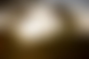 Nutrition Blog 1 - Food For Thought