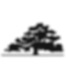 305797444_760424808696118_5686174723703045917_n_edited.png