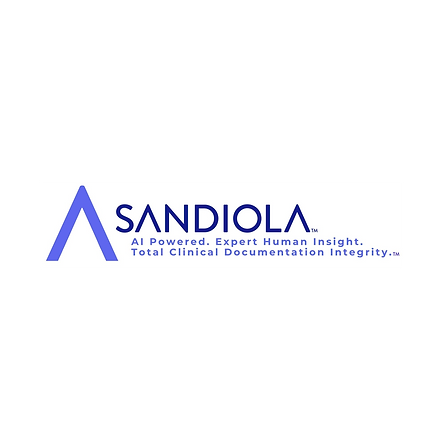 Sandiola Expert Insight Company Logo.png