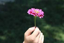 Mindful moment - Candle and flower breathing  