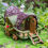 Thumbnail: Fiddlehead Gypsy Wagon