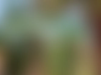 Camp Gilboa Health & Safety Update for Summer 2021 (Sent March 2021)