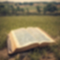 Bible Field.jpg