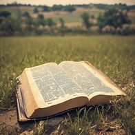 Bible Field.jpg