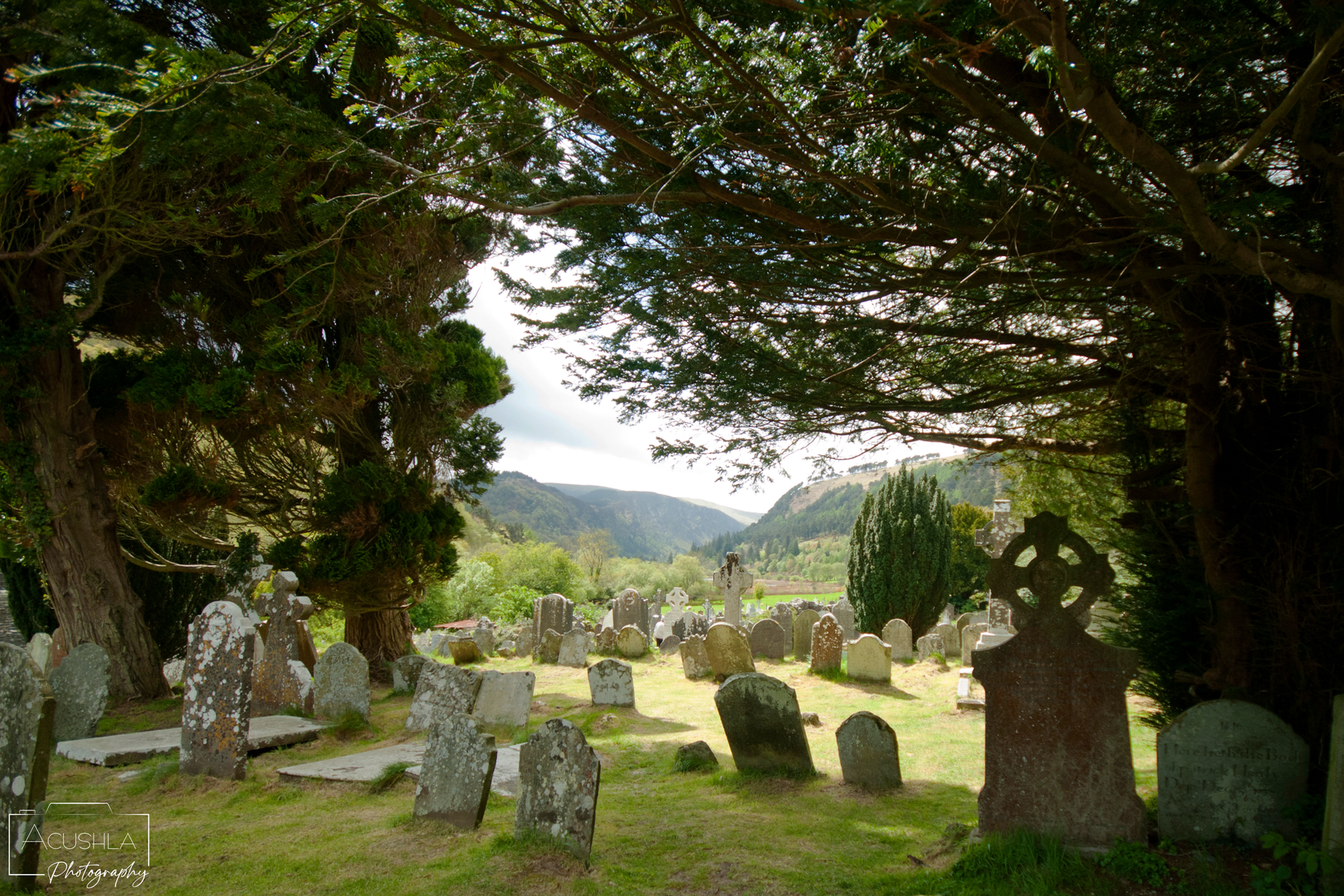 Glendalough Graves