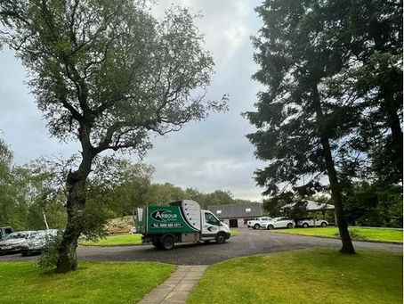 Tree Pruning Glasgow - Sawmill Cottage