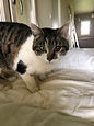 IMG_2058.jpeg