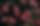 flower (1).png