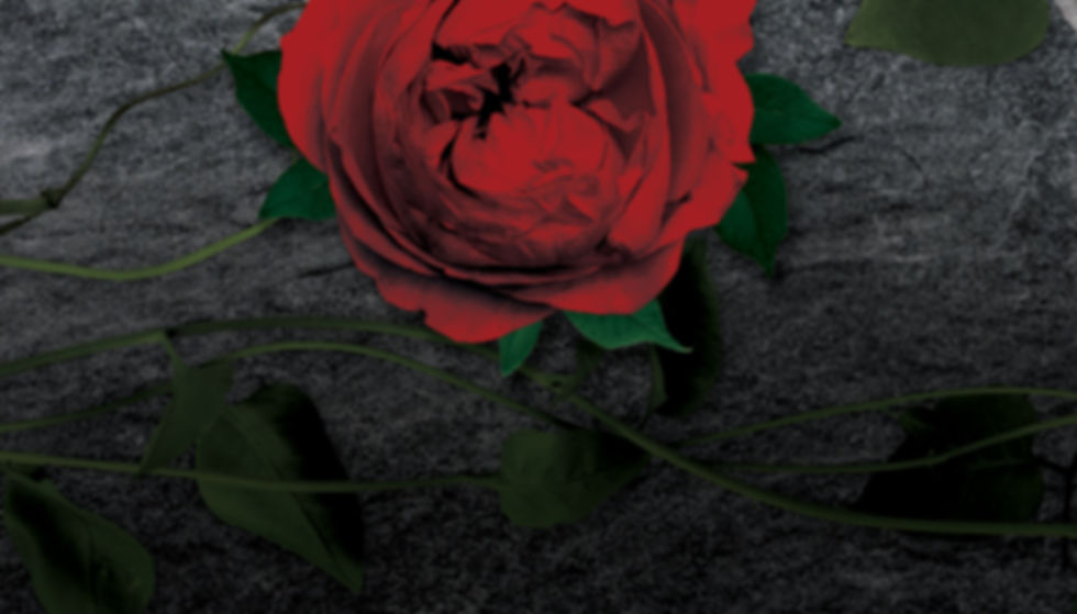 DominantStrategy_BookOneFrontCover_Titleless (3).jpg