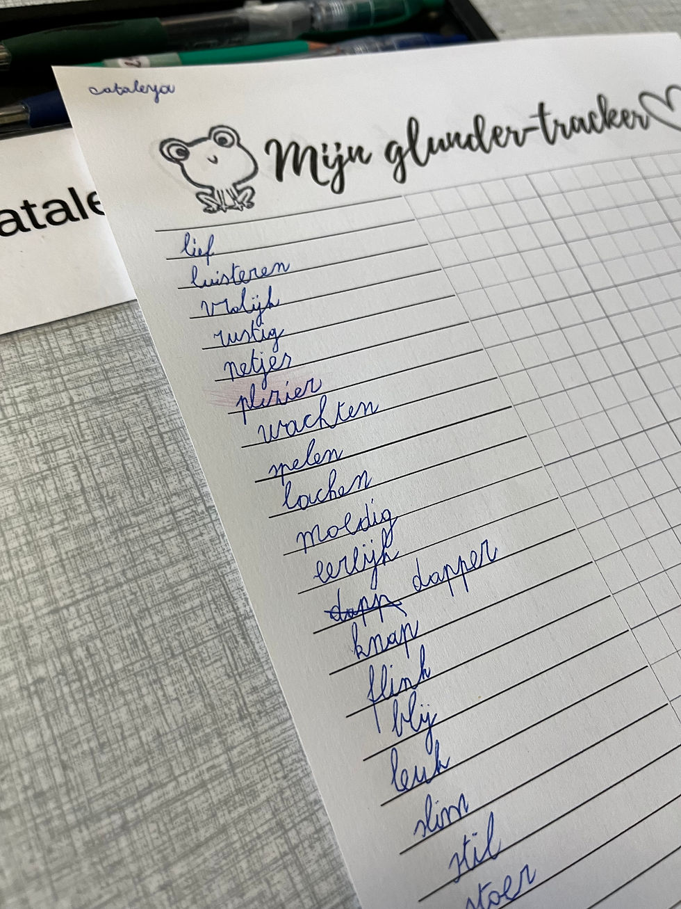 Thumbnail: De Downloadbare WerkBladen van het ACTieve GlunderSchrift