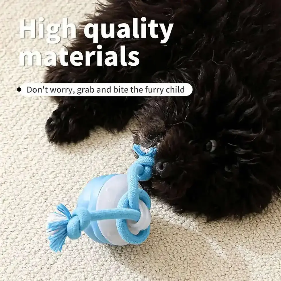 Thumbnail: RoboRoll™ Smart Dog Ball