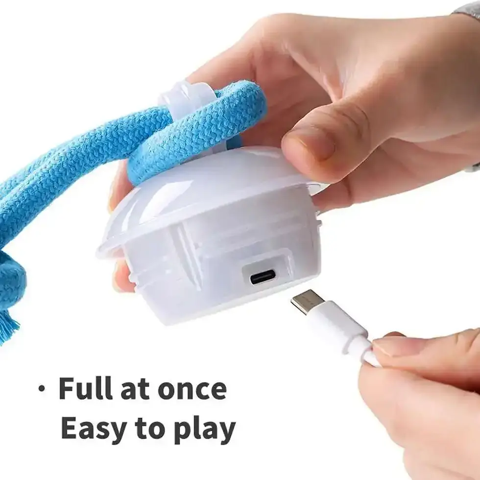 Thumbnail: RoboRoll™ Smart Dog Ball