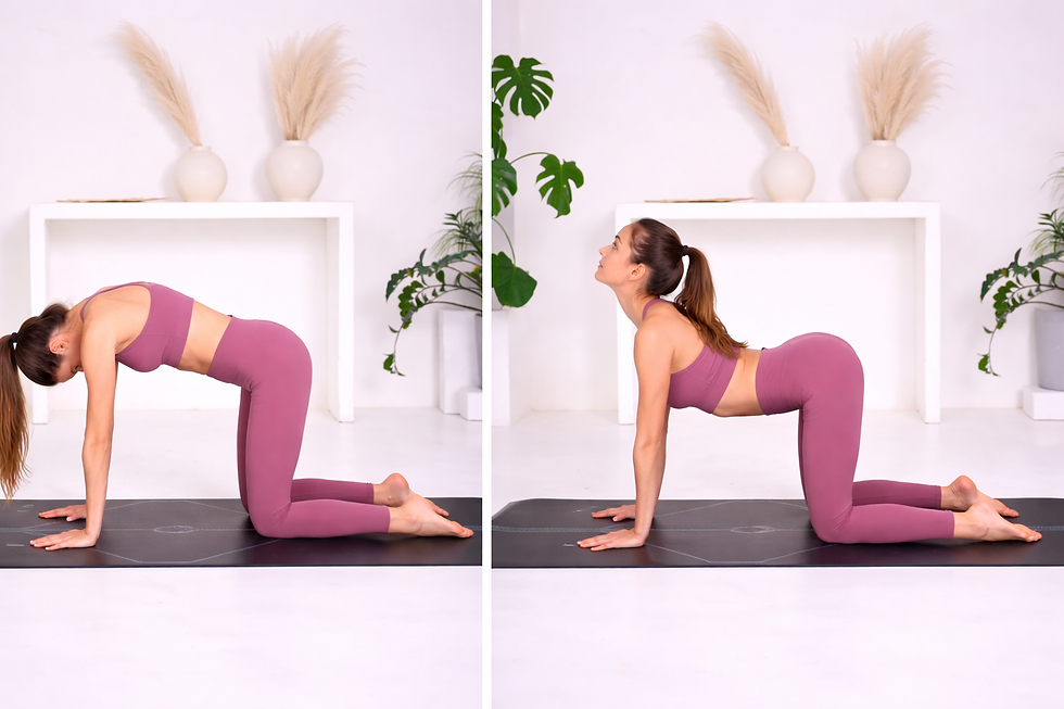 Cat Cow yoga stretch sequence woman improving spine flexibility and relieving back pain