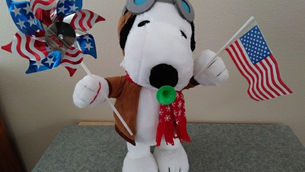 Flying Ace 4th of July!