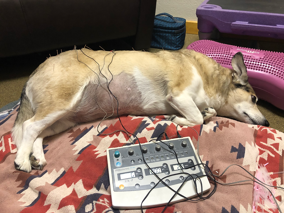 9B9C2B9C-A96E-4C9C-BC02-0AB2955AFA1D