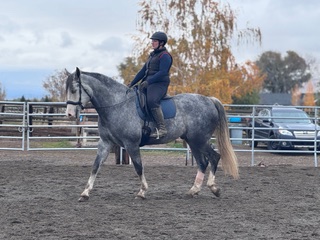 Dr. Julie Sowa riding a horse. 