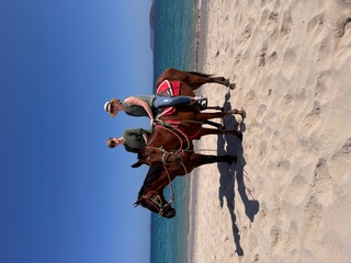 Dr. Julie Sowa riding a horse