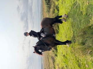 Dr. Julie Sowa riding a horse