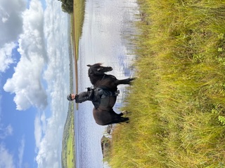 Dr. Julie Sowa riding a horse