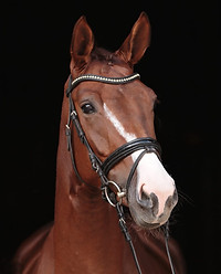 PHOTO-2023-02-06-12-45-56 3.jpg