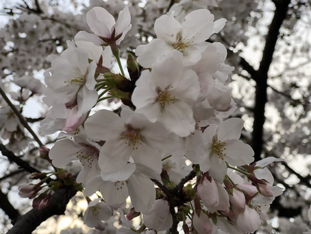 2021年度愛知県障害者スポーツ指導者協議会 特別委員会・役員会・理事会