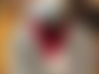 ボッチャ競技審判養成講習会