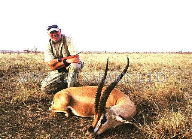 Grants Gazelle