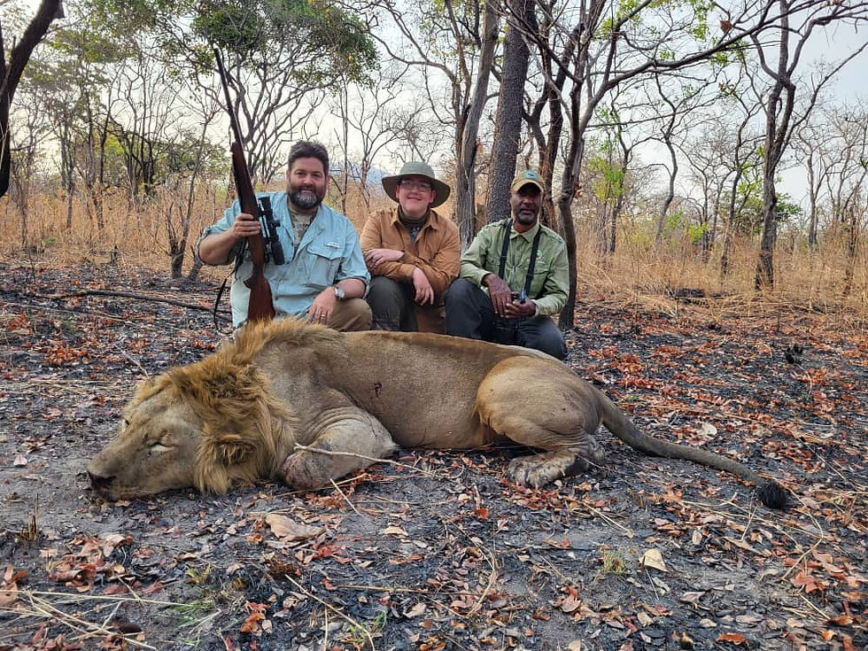 Lion