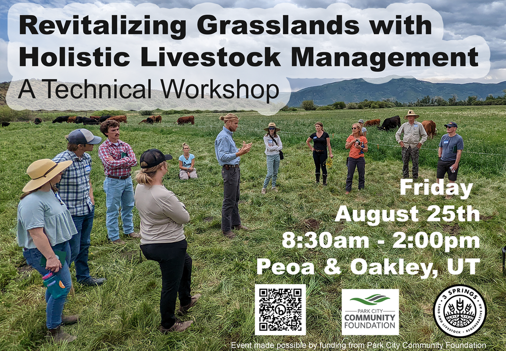 Field Events...They're In The Field!