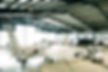star aviation.jpg