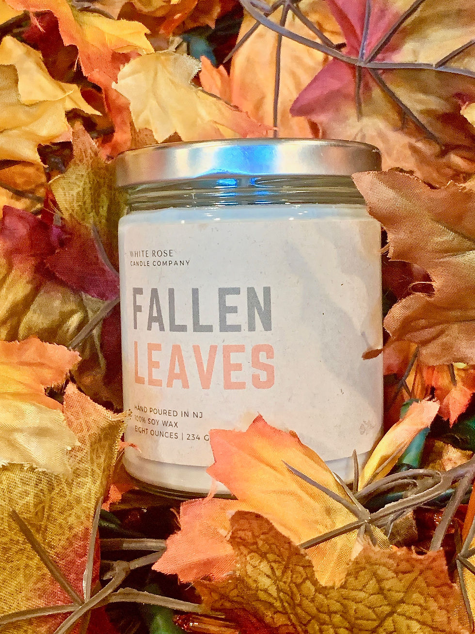Fallen Leaves